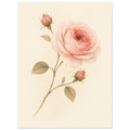 c3303ae1-589c-4468-961b-0c8dc7f24acc